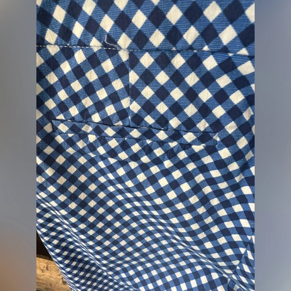 Chico's size 1.5 (Medium/Size 10) pull up pants blue checks - Picture 10 of 11